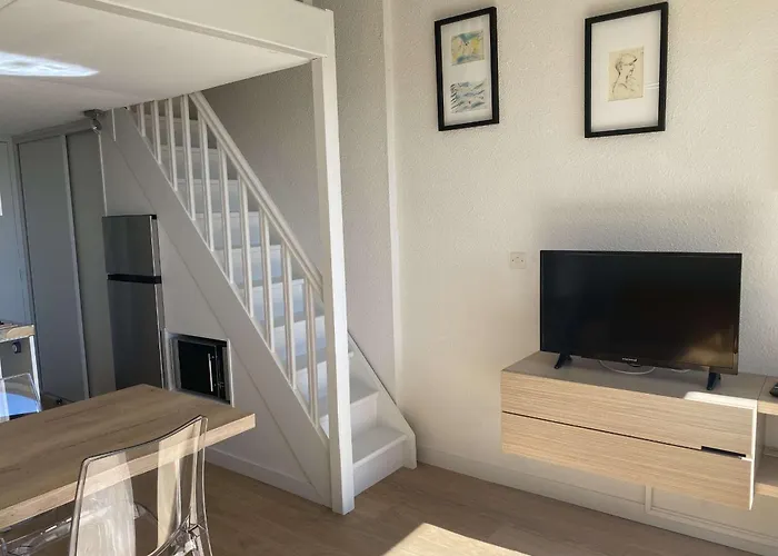 Lägenhet T1 Mezzanine Climatise Avec Parking Et Wifi A - Fr-1-553-215