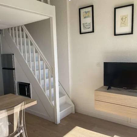 Apartment T1 Mezzanine Climatise Avec Parking Et Wifi A - Fr-1-553-215